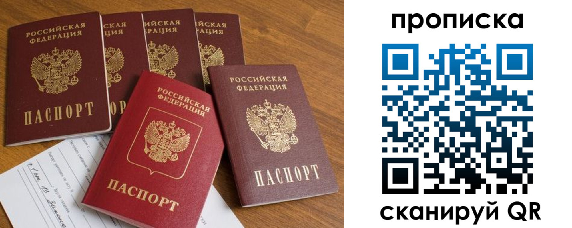временная регистрация в Димитровграде