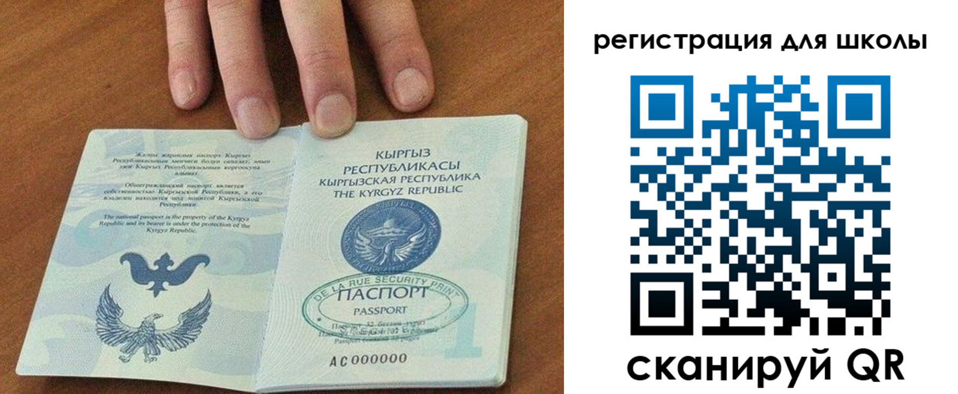 временная регистрация 2025 в Димитровграде